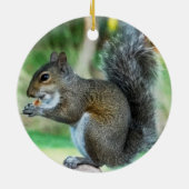 Ornements d'écureuil encerclés par des glands (Dos)