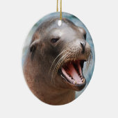 Ornements d'otarie de la Californie (Droite)