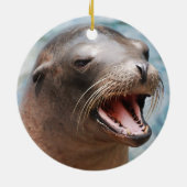 Ornements d'otarie de la Californie (Dos)