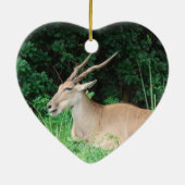 Ornements du sud d'habitat d'éland (Dos)