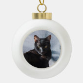 Ornements en céramique d'animal familier de boule (Devant)