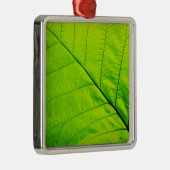 Ornements en feuilles vertes (Droite)