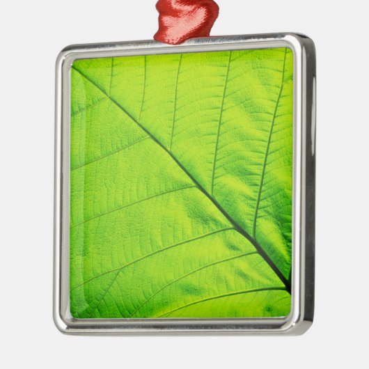 Ornements en feuilles vertes (Gauche)