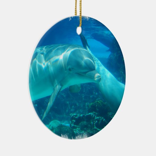 Ornements espiègles de dauphins (Droite)