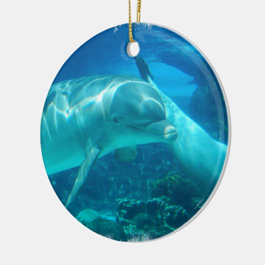 Ornements espiègles de dauphins (Gauche)