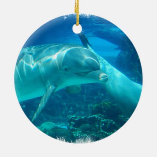 Ornements espiègles de dauphins (Dos)