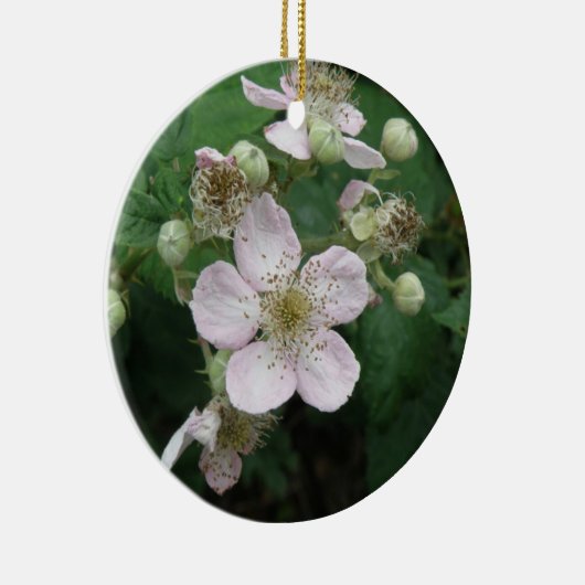 Ornements Fleurs de Blackberry (Droite)