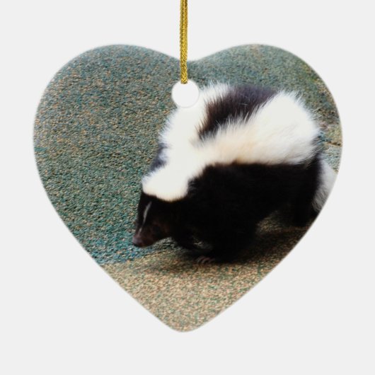 Ornements mignons de mouffette (Dos)