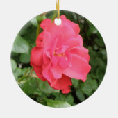 Ornements Roses sauvages (Dos)