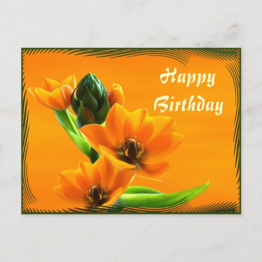 Ornithogalum dubium briefkaart (Voorkant)