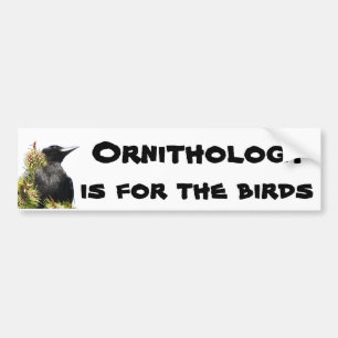 Ornithologie is voor de vogelstand op de boom bumpersticker