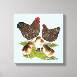 Orpington Jubileum Kip Familie Canvas Afdruk