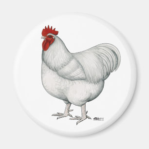 Orpington White Rooster Magneet