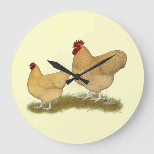 Orpingtons Lemon Cuckoo Grote Klok (Voorkant)