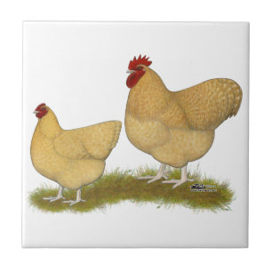 Orpingtons Lemon Cuckoo Tegeltje