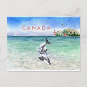 Orque à l'aquarelle   Carte postale vintage de voy