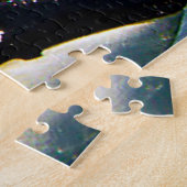 Orques ou épaulards en puzzle (Côté)