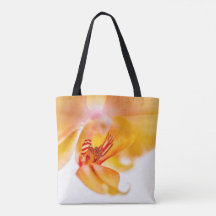 Orquídea