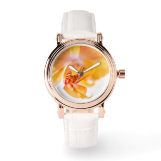 Orquídea Horloge
