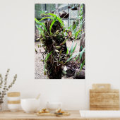 orquidea poster (Keuken)