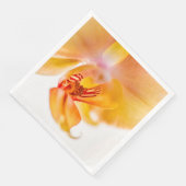 Orquídea Servet (Hoek)