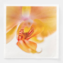 Orquídea