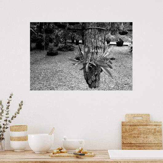 orquideas 02 poster (Keuken)