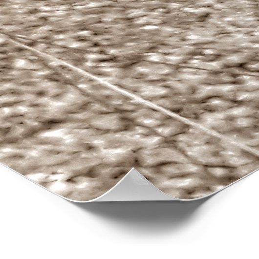 orquideas 03 poster (Hoek)