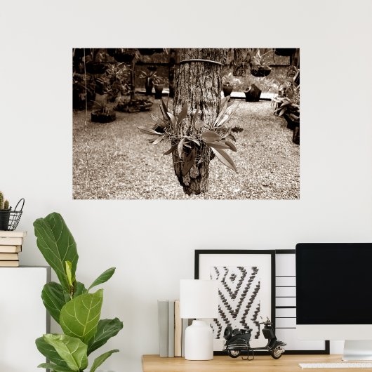 orquideas 03 poster (Thuiskantoor)