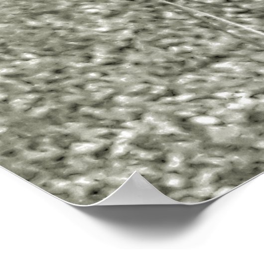 orquideas 04 poster (Hoek)