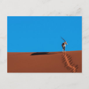 Oryx Antelope in de Namib woestijn Briefkaart