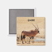 Oryx Gazella Kgalagadi Africa Magneet (Voorkant / Achterkant)