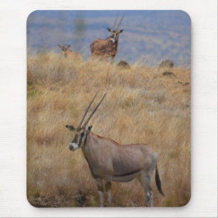Oryx in Africa Mousepad Muismat