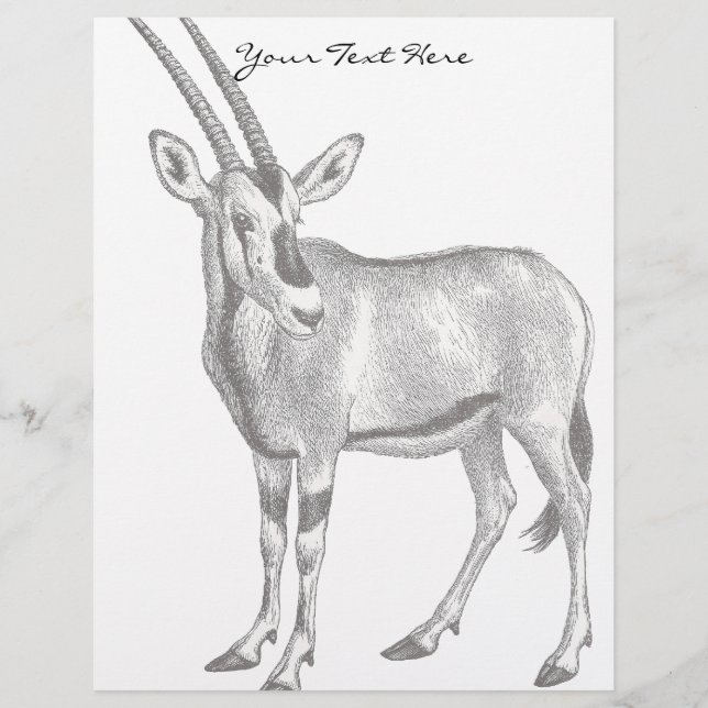  Oryx Letterhead (Voorkant)
