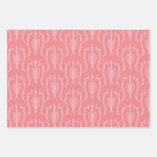 Os crâne et colonne vertébrale sur feuilles de pap (Devant)