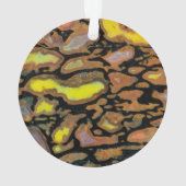 Os de dinosaure multicolore (dos)