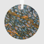 Os de dinosaure pétrifié (dos)