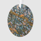 Os de dinosaure pétrifié (devant)