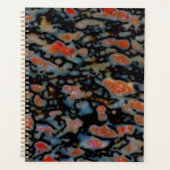 Os Petrifié Petrifié (Devant)