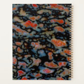 Os Petrifié Petrifié (Dos)