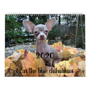 Oscar 2019 le calendrier bleu de chiwawa