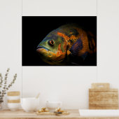 Oscar Fish Astronotus Ocellatus Poster (Keuken)