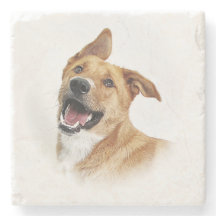 Oscar, het lab wil zijn, onderzetter