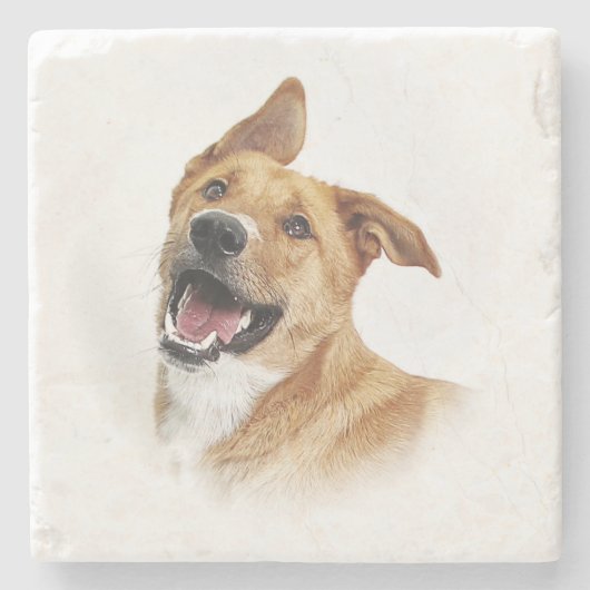 Oscar, het lab wil zijn, onderzetter (Voorkant)