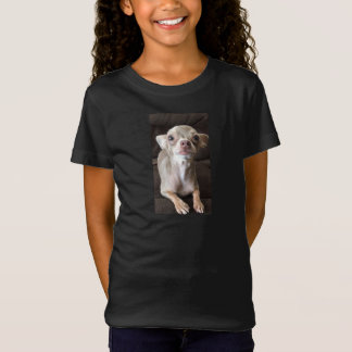 Oscar the Blue Chihuahua t-shirt/sweatshirt T-shirt