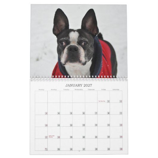 Oscar the Boston Terrier 2013 kalender (Jan 2027)