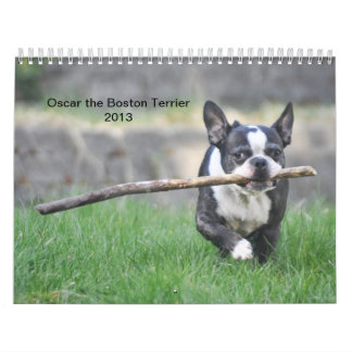 Oscar the Boston Terrier 2013 kalender