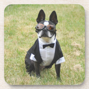 Oscar the Boston Terrier Tuxedo Onderzetters