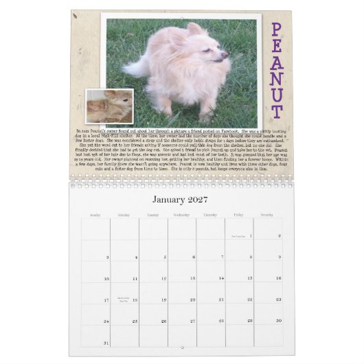 Oscar's reddingsdog Calender Kalender (Jan 2027)