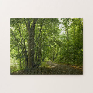 Osceola Island, Weir - Dam Bristol TN puzzel Legpuzzel